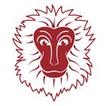 Snow Monkey