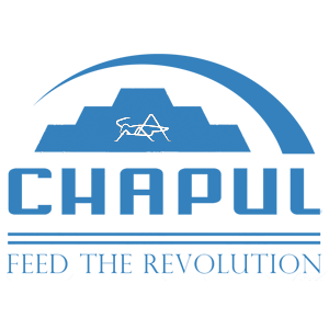 Chapul