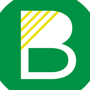 Brizo Dressing