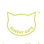 Sunday Cats