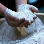 Omnivore Salt